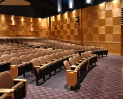 Sanply-maple-be-fla-mem-auditorium-1_8009892943_o