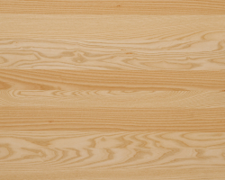 ash-random-plank_8009926619_o