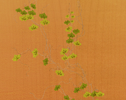 digital-print-ivy-leaves_8009834243_o