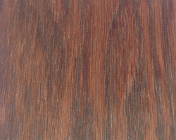 red-oak-fc-120803_8355197432_o
