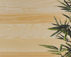 ash-plank_8009924723_o