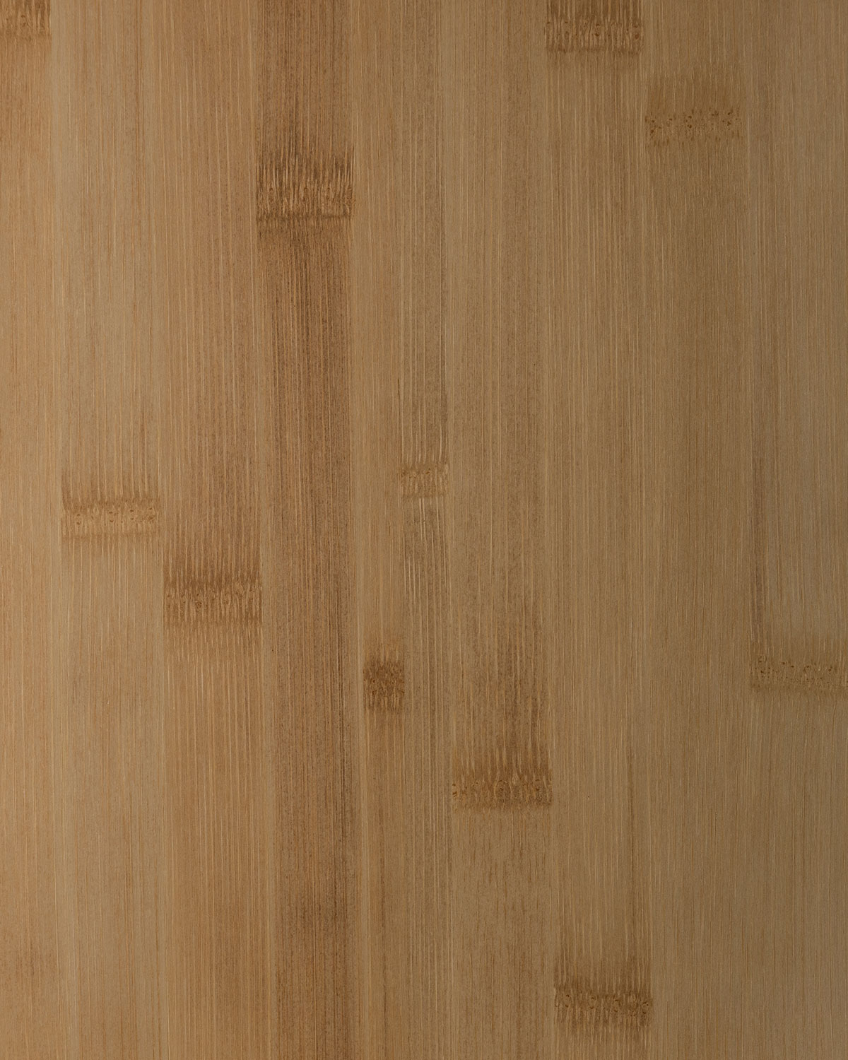 Bamboo, Wide Natural Color