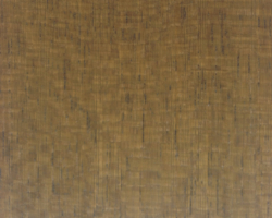 koto100706_8355281776_o