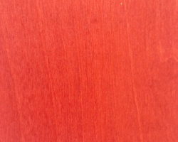 maple-rc-120411_8355197810_o